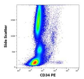 Flow Cytometry - Anti-CD34 Antibody [QBEnd-10] (PE) (A85663)