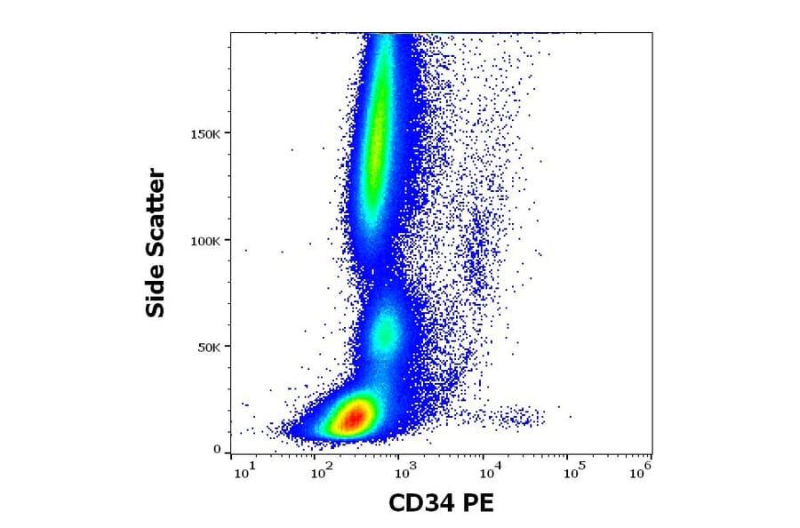 Flow Cytometry - Anti-CD34 Antibody [QBEnd-10] (PE) (A85663)