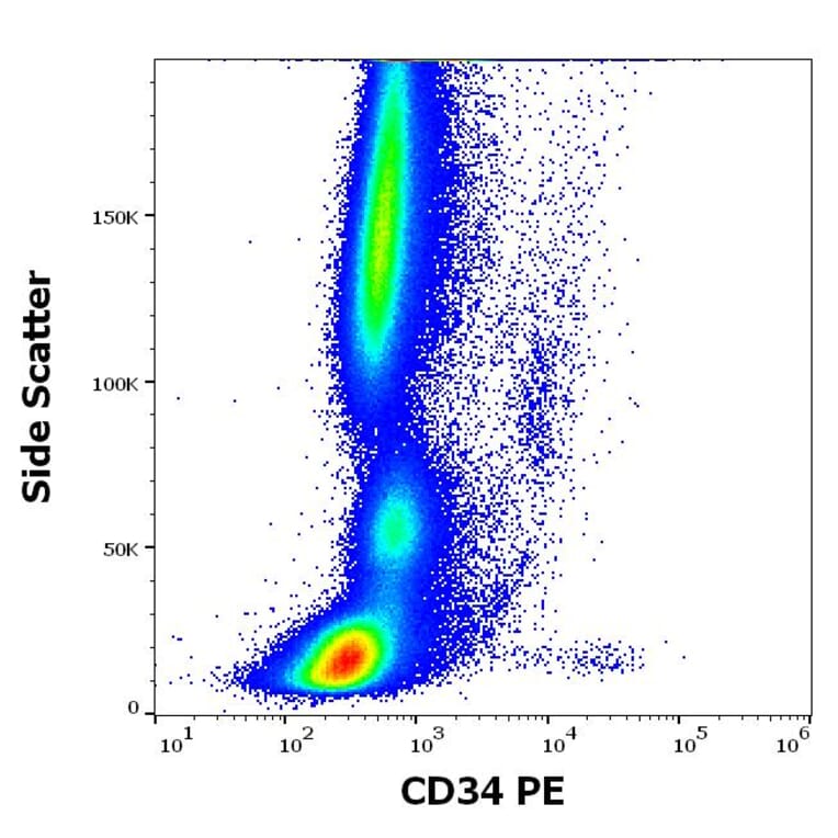 Flow Cytometry - Anti-CD34 Antibody [QBEnd-10] (PE) (A85663)