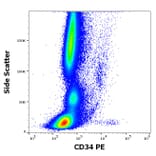 Flow Cytometry - Anti-CD34 Antibody [QBEnd-10] (PE) (A85663)