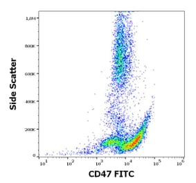 Flow Cytometry - Anti-CD47 Antibody [MEM-122] (FITC) (A85664)