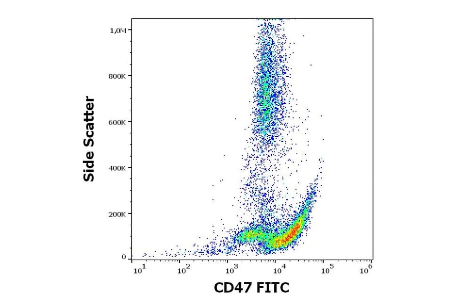 Flow Cytometry - Anti-CD47 Antibody [MEM-122] (FITC) (A85664)