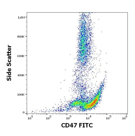 Flow Cytometry - Anti-CD47 Antibody [MEM-122] (FITC) (A85664)