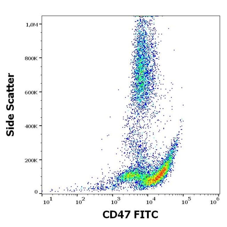 Flow Cytometry - Anti-CD47 Antibody [MEM-122] (FITC) (A85664)