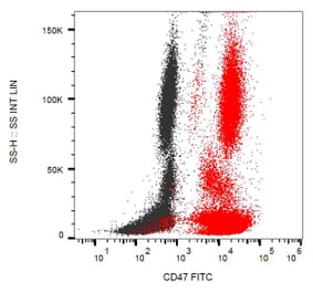 Flow Cytometry - Anti-CD47 Antibody [MEM-122] (FITC) (A85663) - Antibodies.com