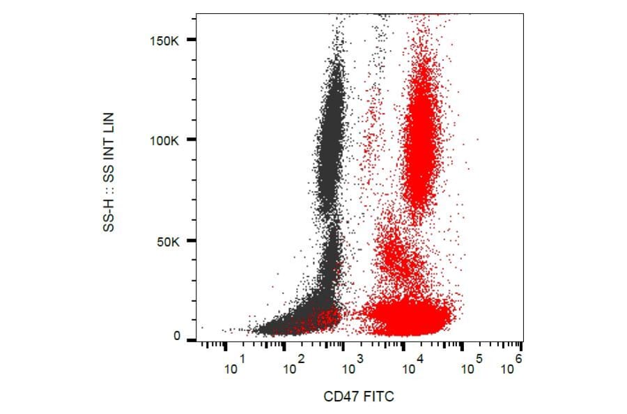 Flow Cytometry - Anti-CD47 Antibody [MEM-122] (FITC) (A85663) - Antibodies.com