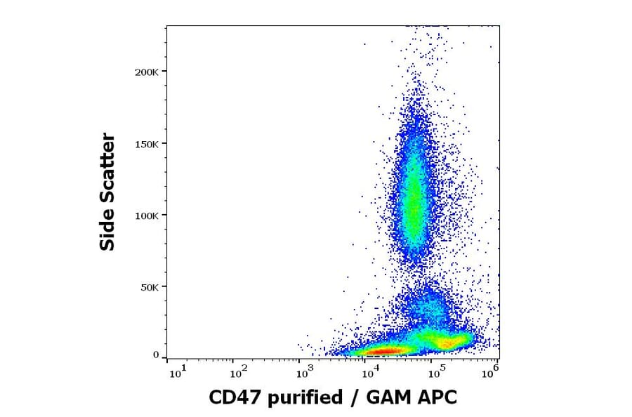 Flow Cytometry - Anti-CD47 Antibody [MEM-122] (A85665)