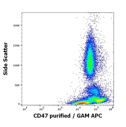 Flow Cytometry - Anti-CD47 Antibody [MEM-122] (A85665)