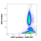 Flow Cytometry - Anti-CD47 Antibody [MEM-122] (A85665)