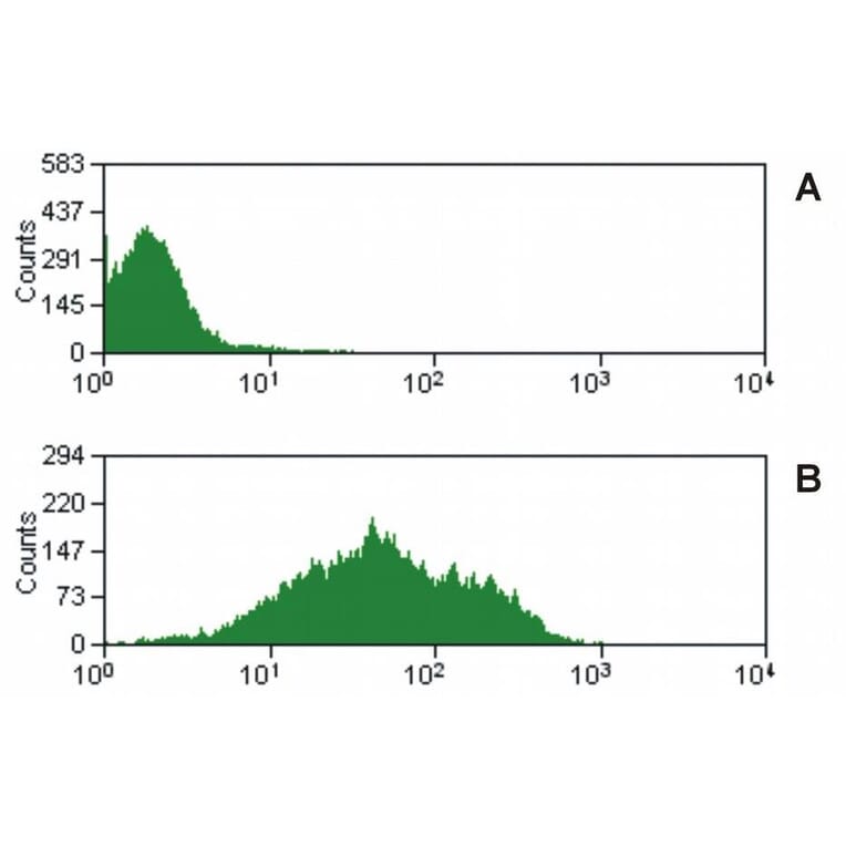 Flow Cytometry - Anti-CD47 Antibody [MEM-122] (A85665)