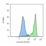 Flow Cytometry - Anti-PSMA Antibody [GCP-05] (A85666) - Antibodies.com