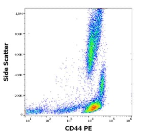 Flow Cytometry - Anti-CD44 Antibody [MEM-263] (PE) (A85672)
