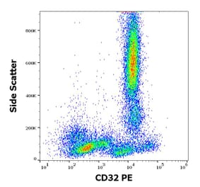 Flow Cytometry - Anti-CD32 Antibody [3D3] (PE) (A85673)