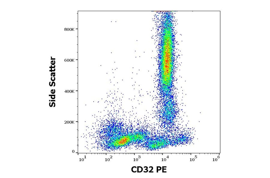 Flow Cytometry - Anti-CD32 Antibody [3D3] (PE) (A85673)