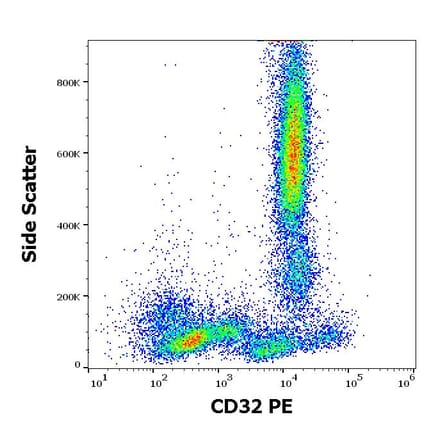 Flow Cytometry - Anti-CD32 Antibody [3D3] (PE) (A85673)