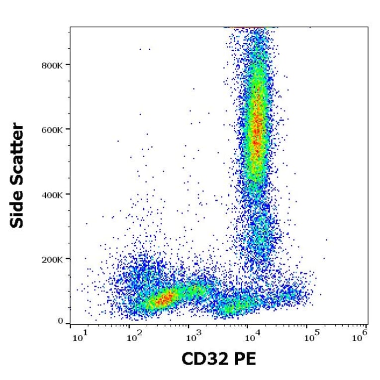 Flow Cytometry - Anti-CD32 Antibody [3D3] (PE) (A85673)