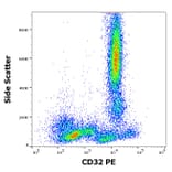 Flow Cytometry - Anti-CD32 Antibody [3D3] (PE) (A85673)
