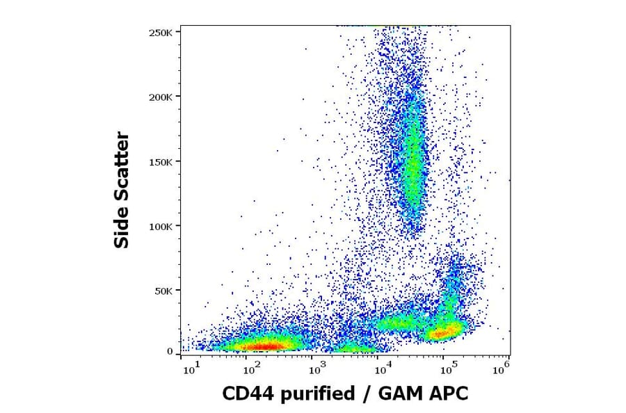 Flow Cytometry - Anti-CD44 Antibody [MEM-263] (A85675)