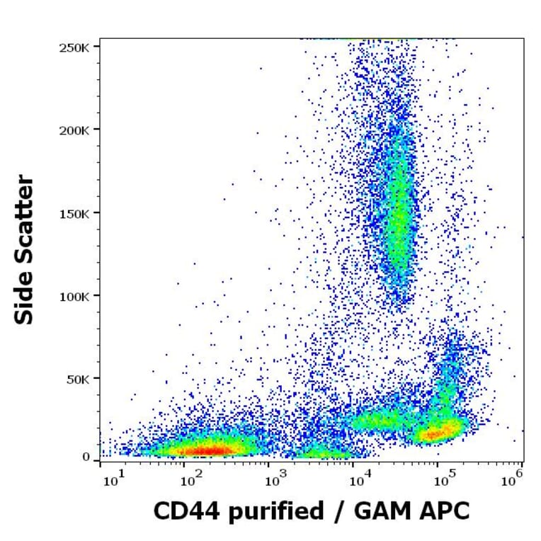 Flow Cytometry - Anti-CD44 Antibody [MEM-263] (A85675)