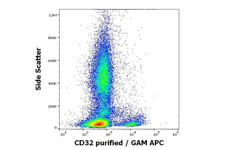 Flow Cytometry - Anti-CD32 Antibody [3D3] (A85676)