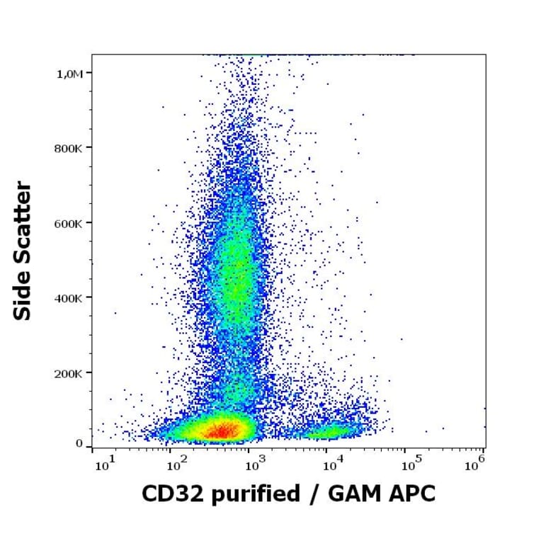 Flow Cytometry - Anti-CD32 Antibody [3D3] (A85676)