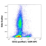 Flow Cytometry - Anti-CD32 Antibody [3D3] (A85676)