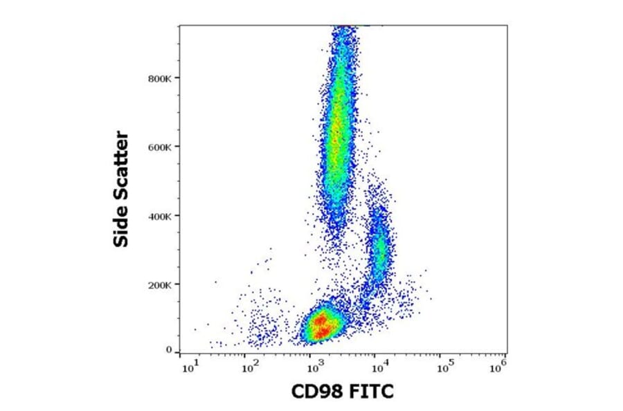 Flow Cytometry - Anti-CD98 Antibody [MEM-108] (FITC) (A85651) - Antibodies.com