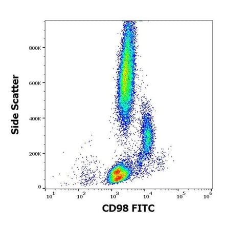 Flow Cytometry - Anti-CD98 Antibody [MEM-108] (FITC) (A85651) - Antibodies.com