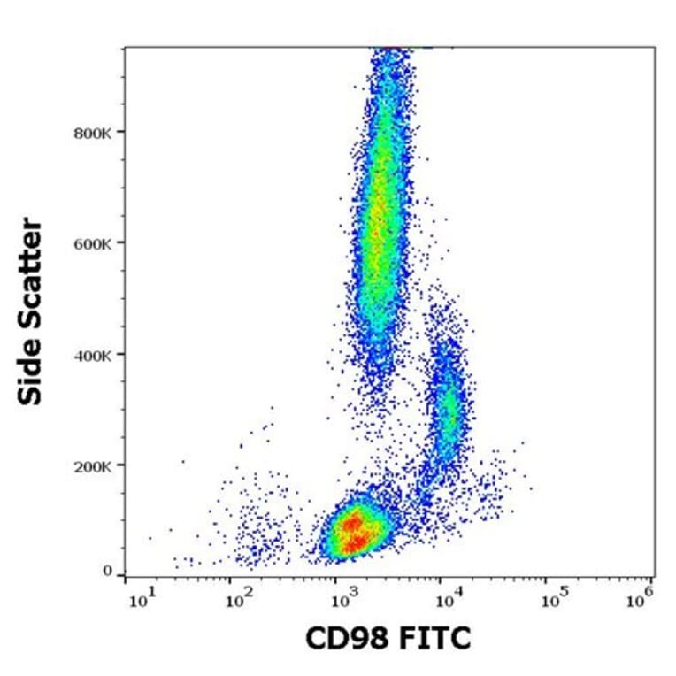 Flow Cytometry - Anti-CD98 Antibody [MEM-108] (FITC) (A85651) - Antibodies.com