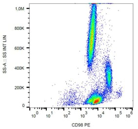 Flow Cytometry - Anti-CD98 Antibody [MEM-108] (PE) (A85678)