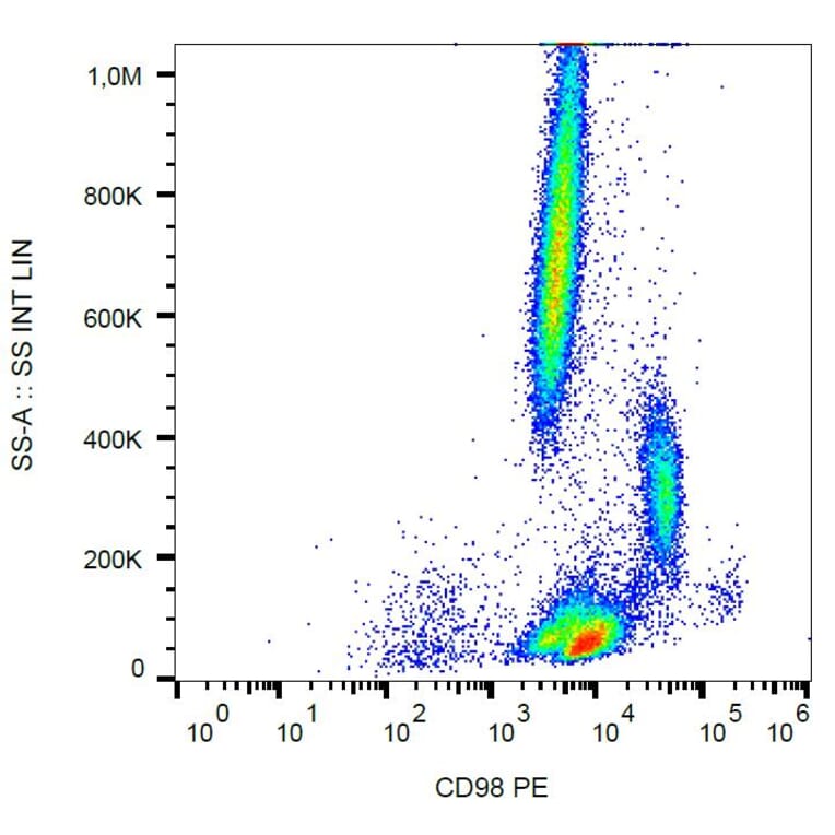 Flow Cytometry - Anti-CD98 Antibody [MEM-108] (PE) (A85678)