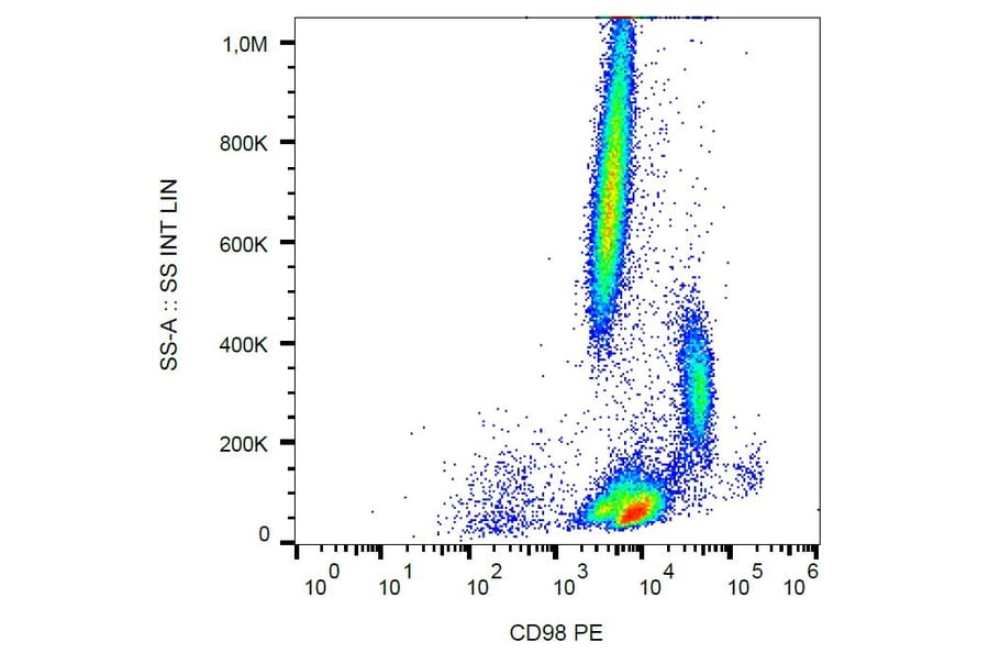 Flow Cytometry - Anti-CD98 Antibody [MEM-108] (PE) (A85676) - Antibodies.com
