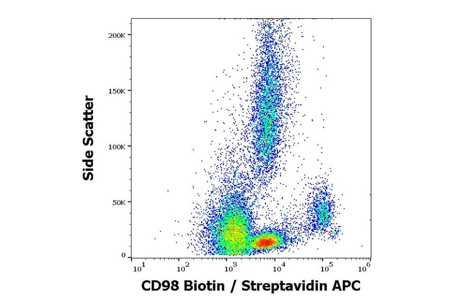 Flow Cytometry - Anti-CD98 Antibody [MEM-108] (Biotin) (A85680)