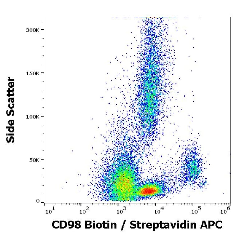 Flow Cytometry - Anti-CD98 Antibody [MEM-108] (Biotin) (A85680)