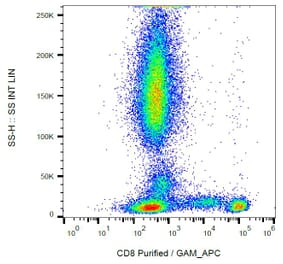 Flow Cytometry - Anti-CD8 Antibody [MEM-87] (A85681)