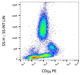 Flow Cytometry - Anti-ICAM1 Antibody [MEM-111] (PE) (A85682)