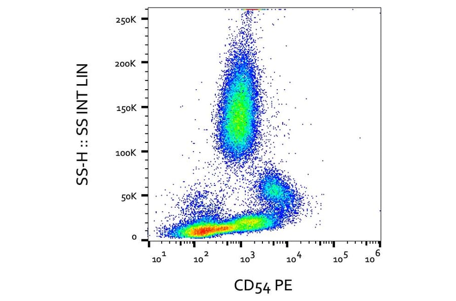 Flow Cytometry - Anti-ICAM1 Antibody [MEM-111] (PE) (A85682)