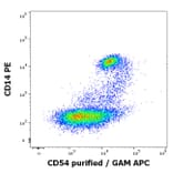 Flow Cytometry - Anti-ICAM1 Antibody [MEM-111] (A85684)