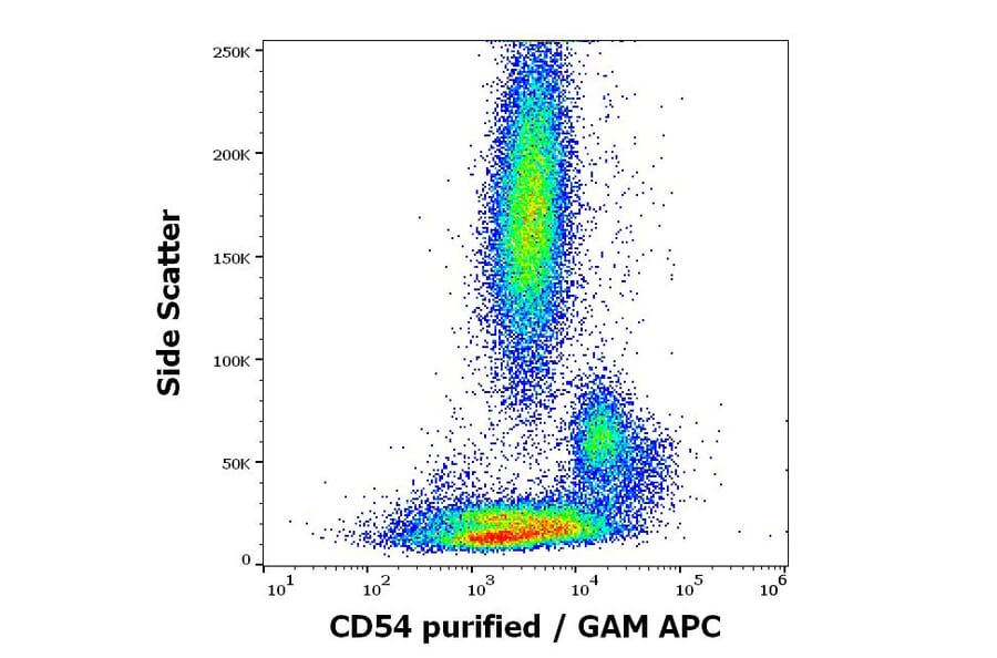 Flow Cytometry - Anti-ICAM1 Antibody [MEM-111] (A85684)