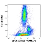 Flow Cytometry - Anti-ICAM1 Antibody [MEM-111] (A85684)