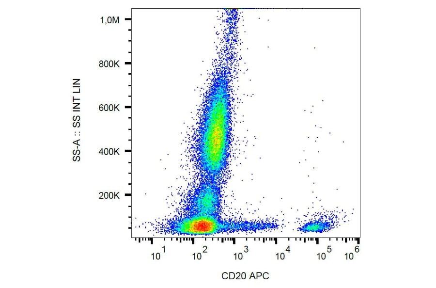 Flow Cytometry - Anti-CD20 Antibody [2H7] (APC) (A85690)
