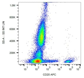 Flow Cytometry - Anti-CD20 Antibody [2H7] (APC) (A85684) - Antibodies.com