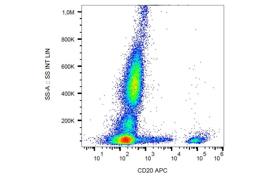 Flow Cytometry - Anti-CD20 Antibody [2H7] (APC) (A85684) - Antibodies.com