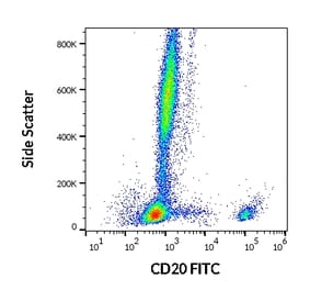 Flow Cytometry - Anti-CD20 Antibody [2H7] (FITC) (A85691)