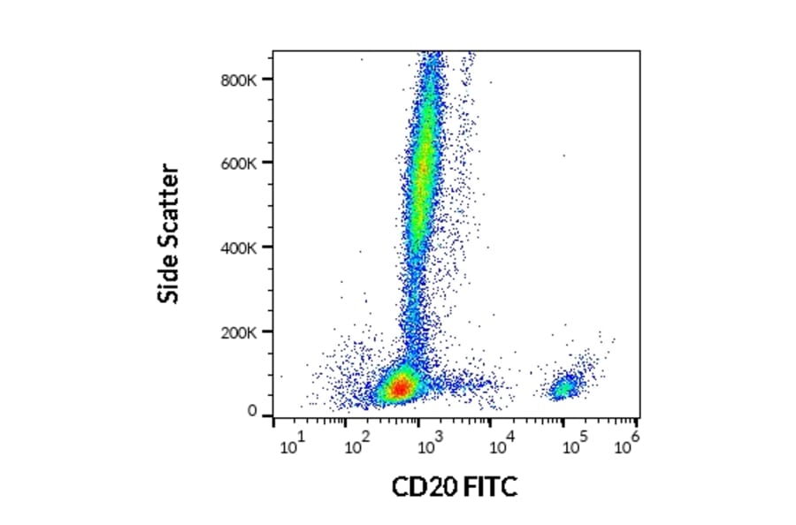 Flow Cytometry - Anti-CD20 Antibody [2H7] (FITC) (A85691)