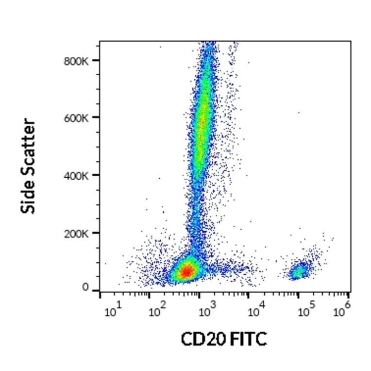 Flow Cytometry - Anti-CD20 Antibody [2H7] (FITC) (A85691)