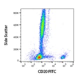 Flow Cytometry - Anti-CD20 Antibody [2H7] (FITC) (A85691)
