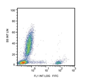 Flow Cytometry - Anti-CD20 Antibody [2H7] (FITC) (A85690) - Antibodies.com