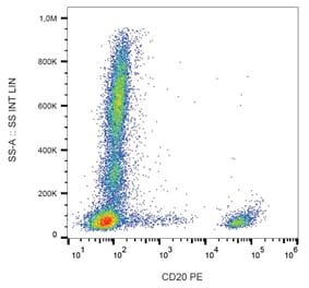 Flow Cytometry - Anti-CD20 Antibody [2H7] (PE) (A85692)