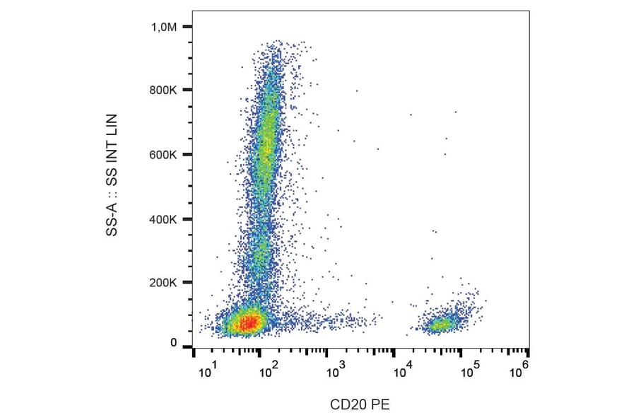 Flow Cytometry - Anti-CD20 Antibody [2H7] (PE) (A85692)